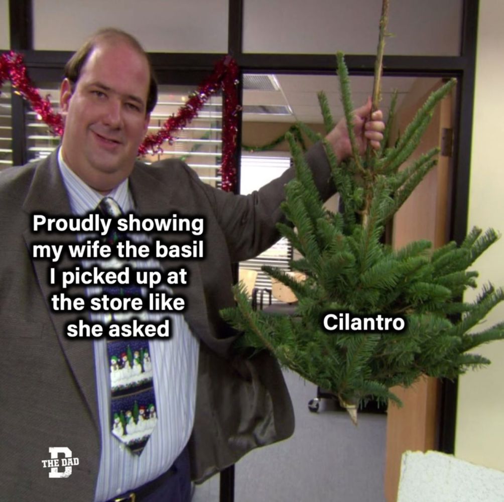 Proudly showing my wife the basil I picked up at the store like she asked