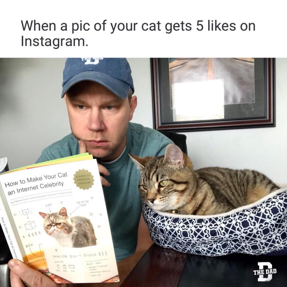When a pic of your cat gets 5 likes on instagram