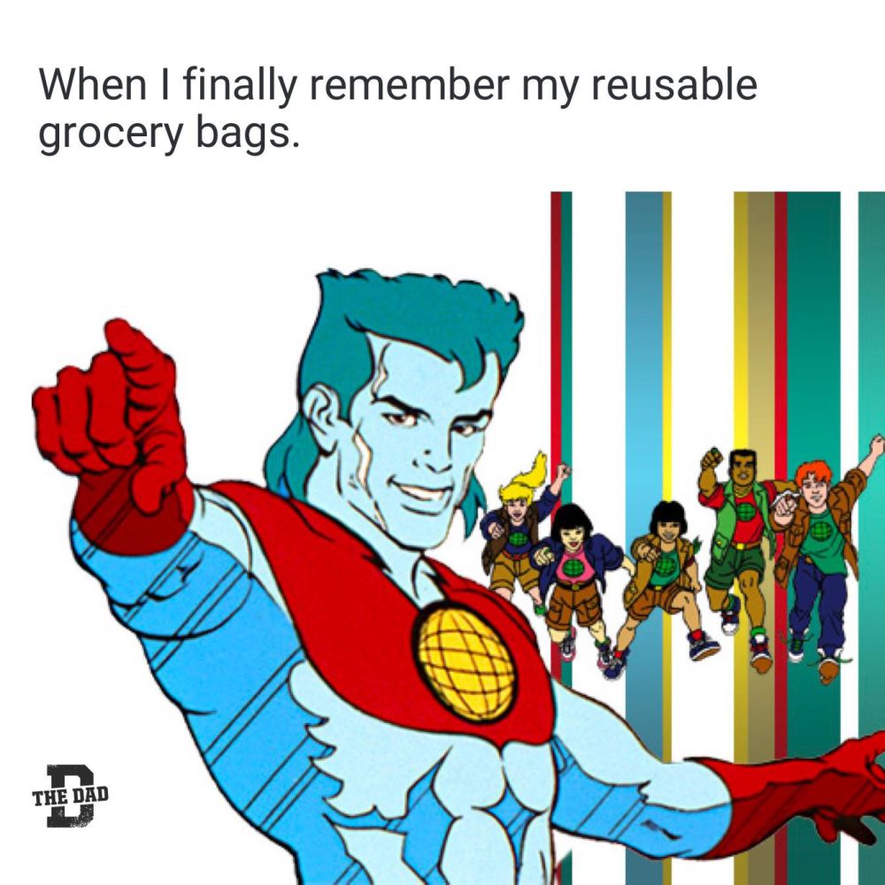 When I finally remember my reusable grocery bags.